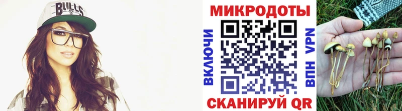 Купить где Мончегорск Псилоцибиновые грибы прущие грибы