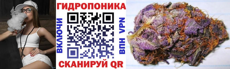 МАРИХУАНА VHQ  Купить закладки  Мончегорск 